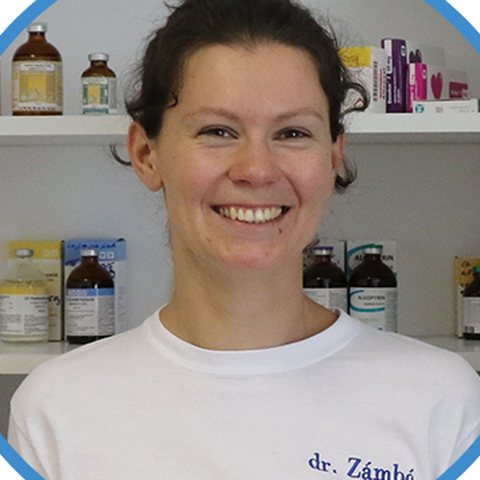 Dr. Zámbó Csilla